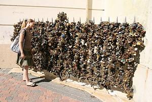users/29217-albums30-25156.jpg