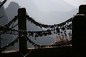 users/29217-albums30-25162.jpg