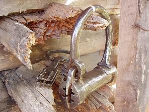 users/29217-albums32-25206.JPG
