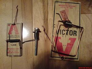 users/29217-albums174-27084.jpg