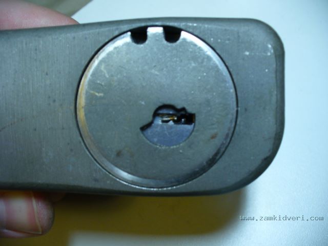 p1010566x