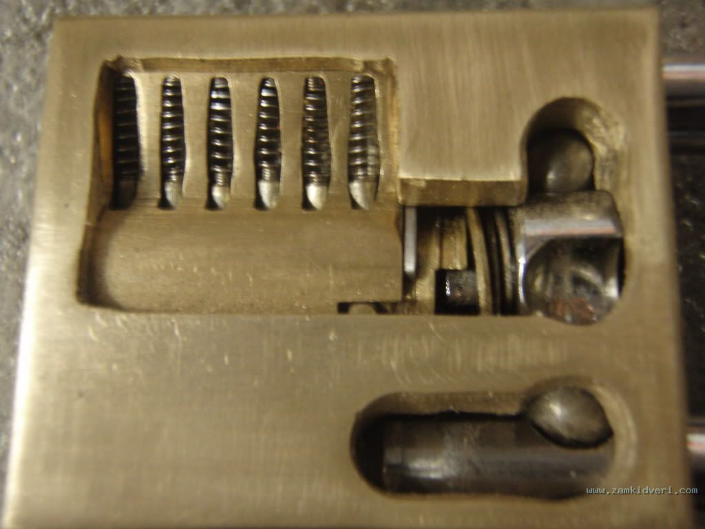 P9030010