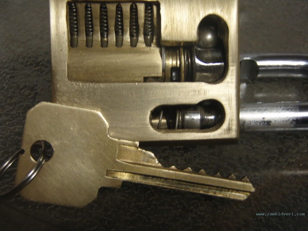 P9030006