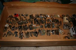 users/29217-albums295-28148.jpg