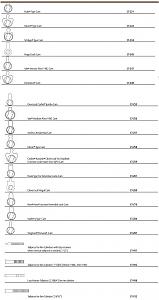 users/29217-albums301-28174.jpg