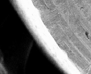 users/29217-albums306-28222.JPG