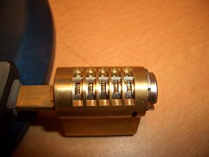 users/29217-albums313-28252.jpg