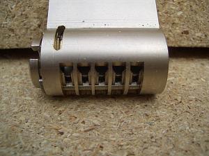 users/29217-albums313-28255.jpg