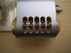 users/29217-albums326-28389.jpg