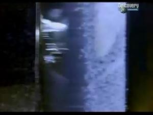users/29217-albums351-28582.jpg