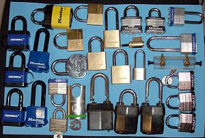 users/29217-albums361-28701.jpg