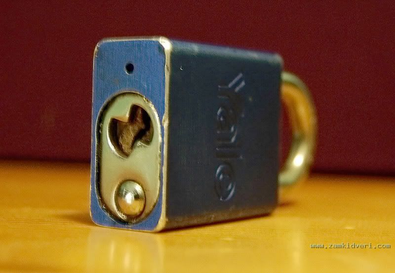 DSC 0037