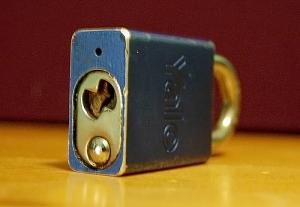 users/29217-albums382-28904.jpg