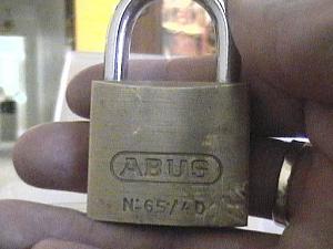 users/29217-albums415-29157.jpg
