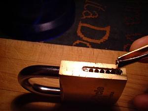 users/29217-albums424-29221.jpg