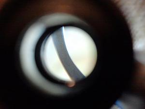 users/29217-albums447-29647.jpg
