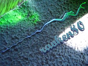 users/29217-albums489-30120.jpg