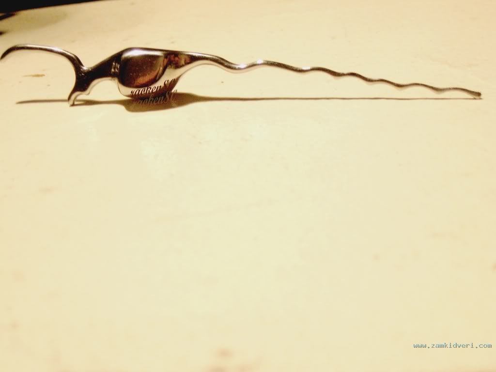 roach