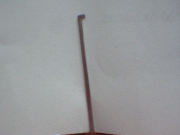 users/29217-albums496-30215.gif