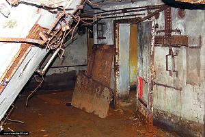 users/29217-albums646-31919.jpg