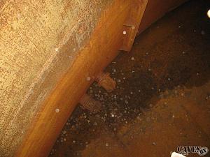 users/29217-albums646-31924.jpg