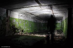 users/29217-albums646-31933.jpg