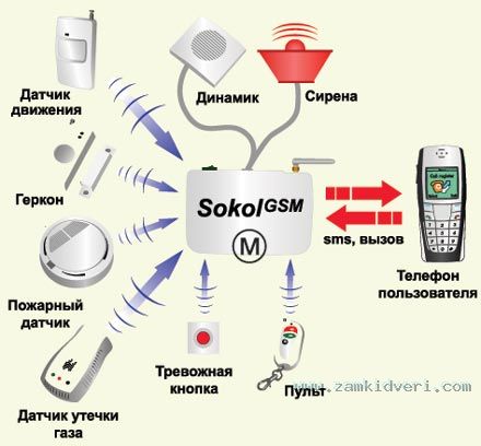 sokol440x408