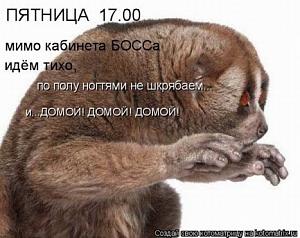 users/29217-albums678-32578.jpg