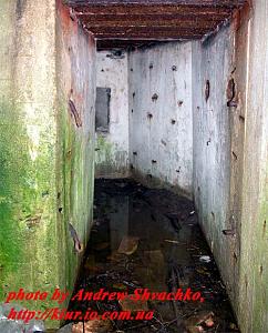 users/29217-albums696-32798.jpg