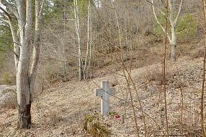 users/29217-albums720-33057.jpg