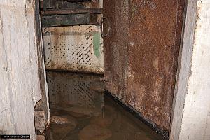 users/29217-albums741-33378.jpg