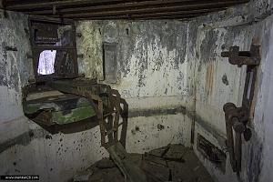 users/29217-albums741-33383.jpg