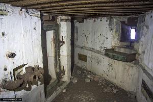 users/29217-albums741-33387.jpg