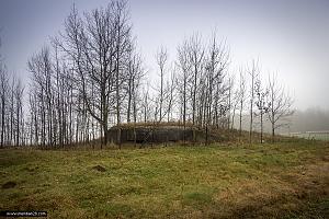 users/29217-albums741-33389.jpg