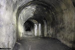 users/29217-albums743-33420.jpg