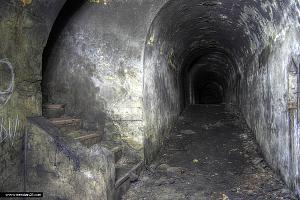 users/29217-albums743-33422.jpg
