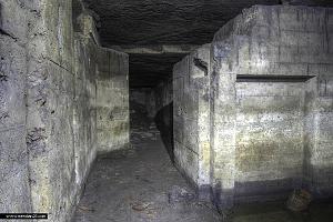 users/29217-albums743-33424.jpg