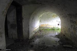 users/29217-albums743-33428.jpg