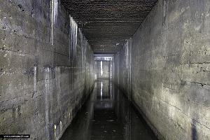users/29217-albums743-33434.jpg