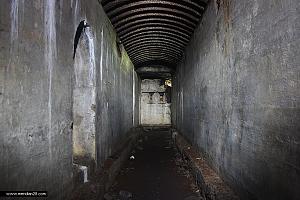 users/29217-albums743-33437.jpg