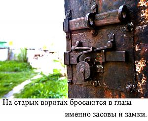 users/29217-albums758-33498.jpg