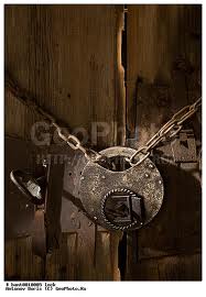 users/29217-albums786-33773.jpg