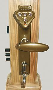 users/29217-albums790-33868.jpg