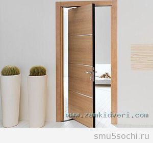 roto door1
