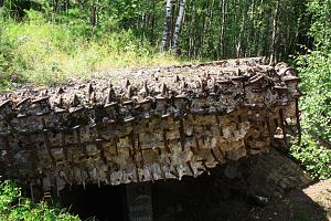users/29217-albums811-34177.jpg