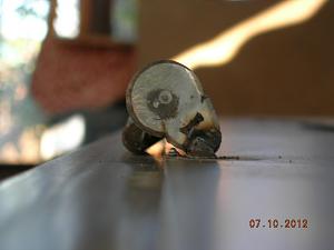 users/29217-albums842-34570.JPG