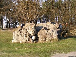 users/29217-albums855-34674.jpg