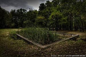 users/29217-albums855-34675.jpg