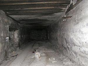 users/29217-albums875-34997.jpg
