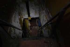 users/29217-albums887-35123.jpg